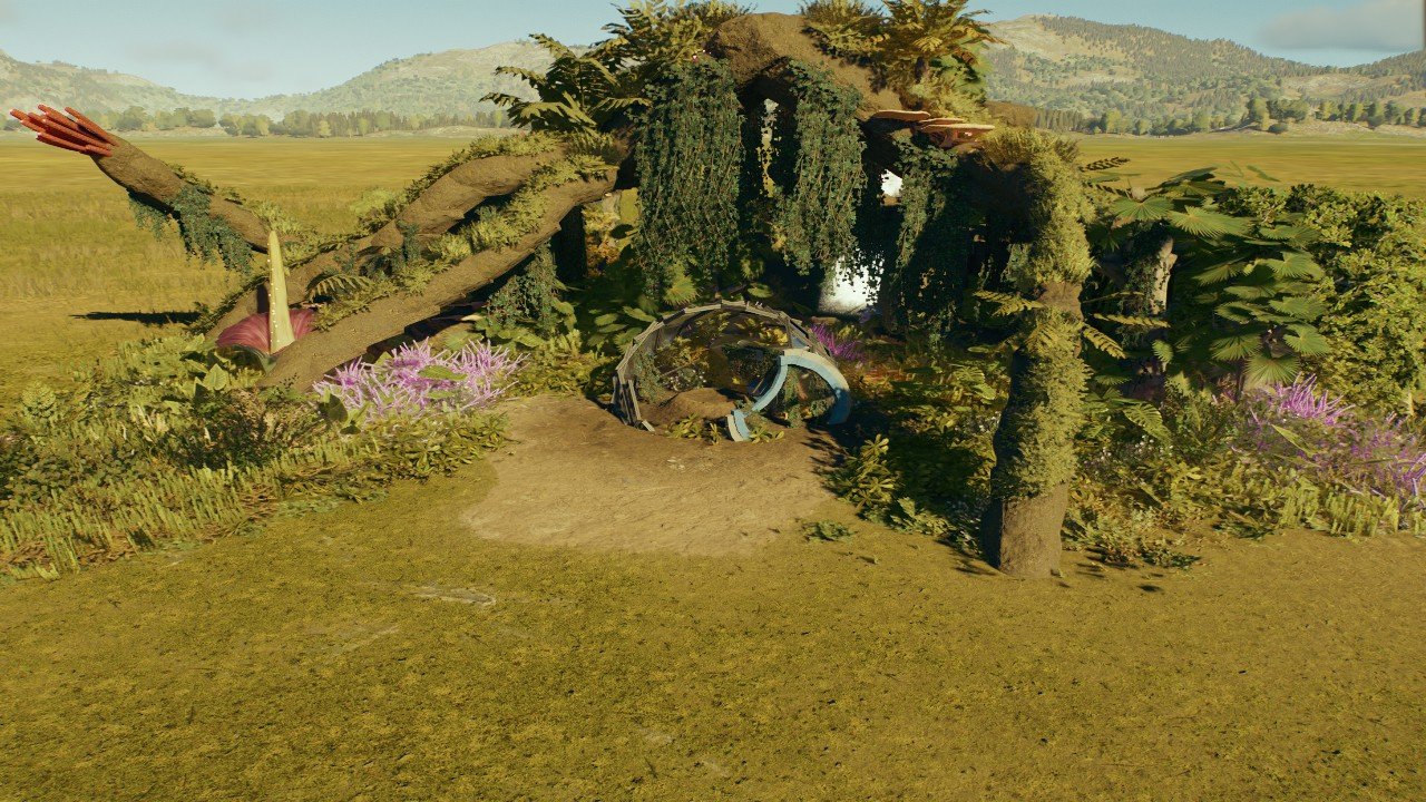 Big jungle nest