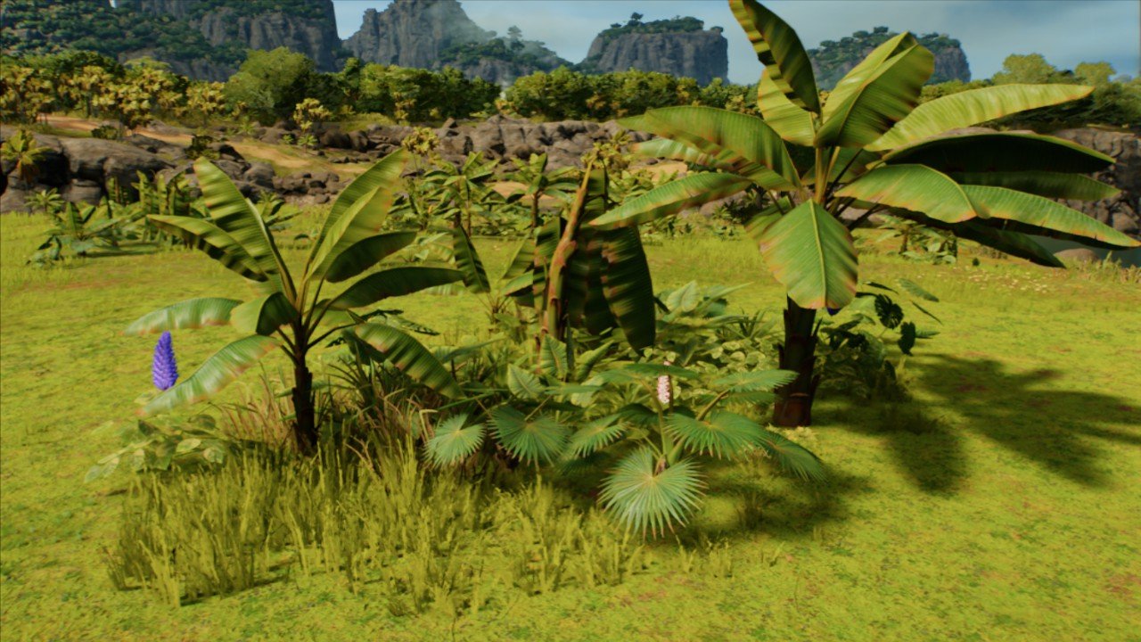 Tropical Brushland All Foliage
