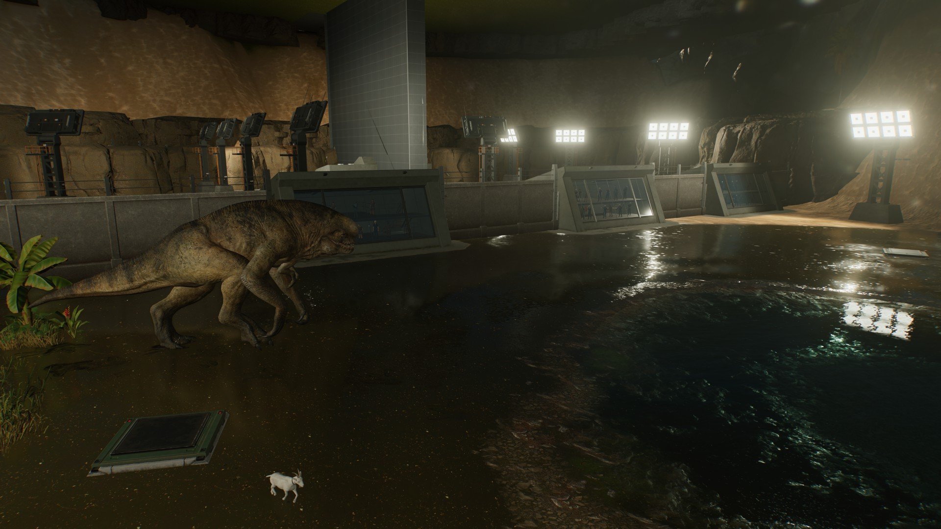 D-rex bunker