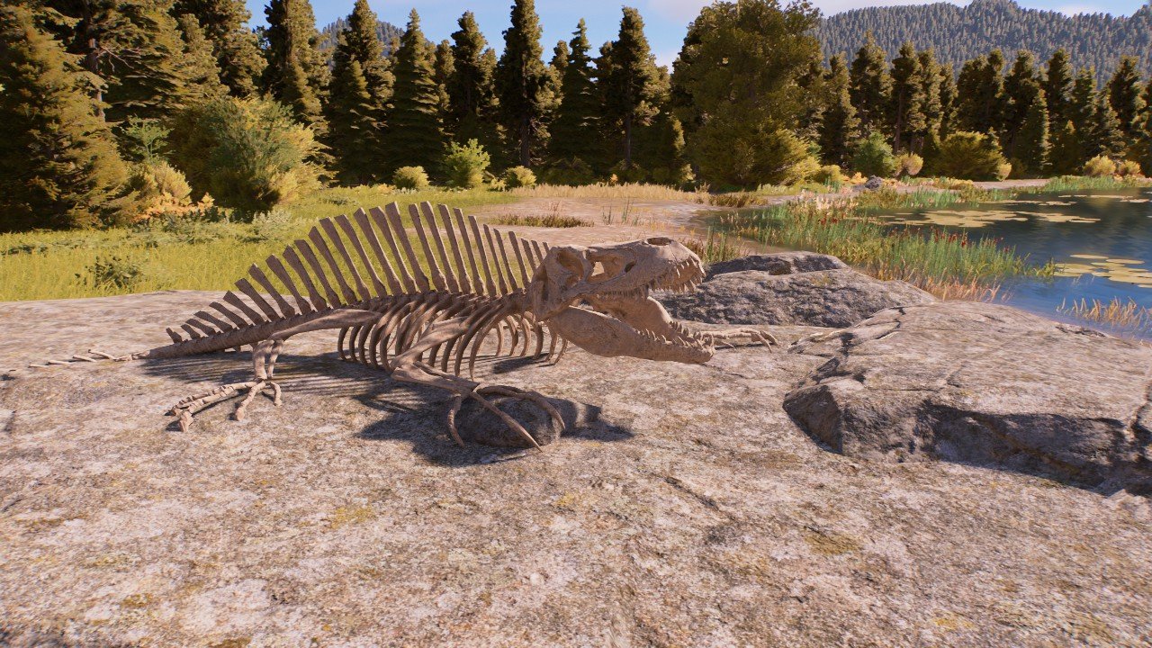 Dimtrodon skeleton