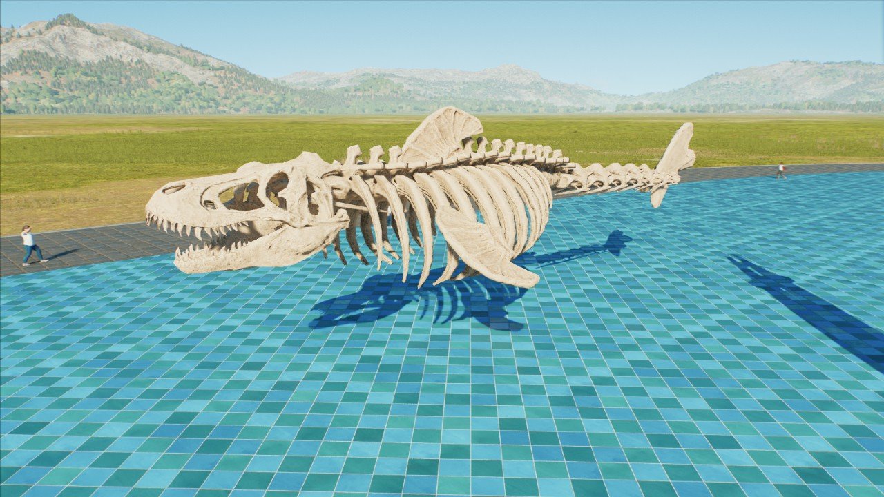 Megaladon Skeleton