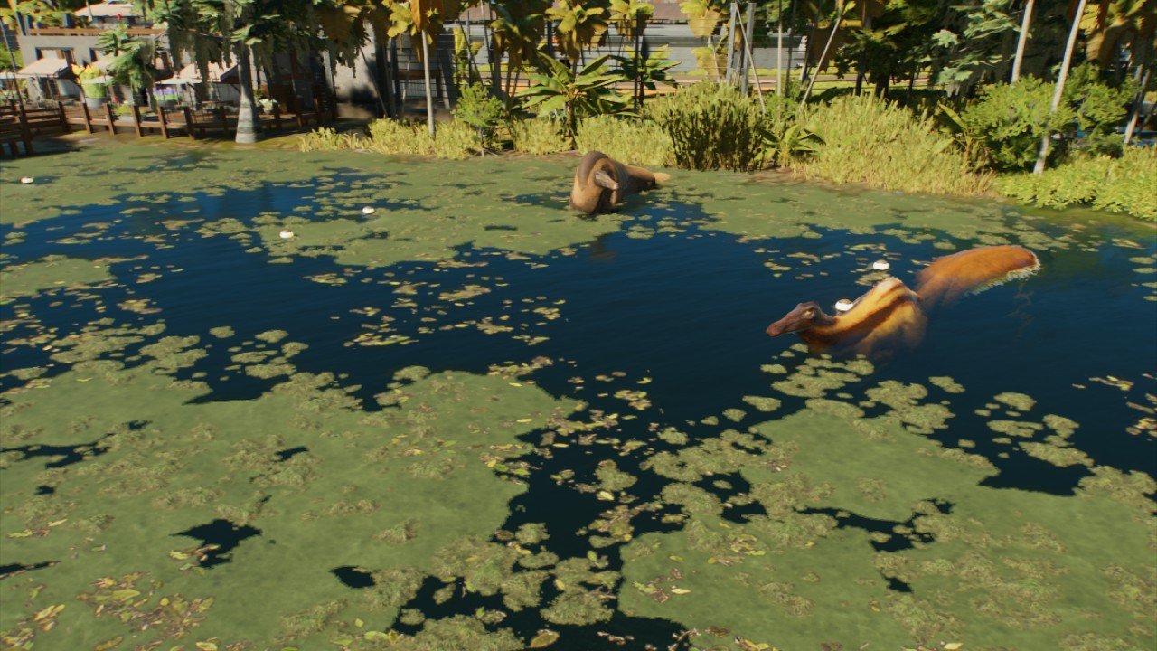 LtChompskie Swamp decal