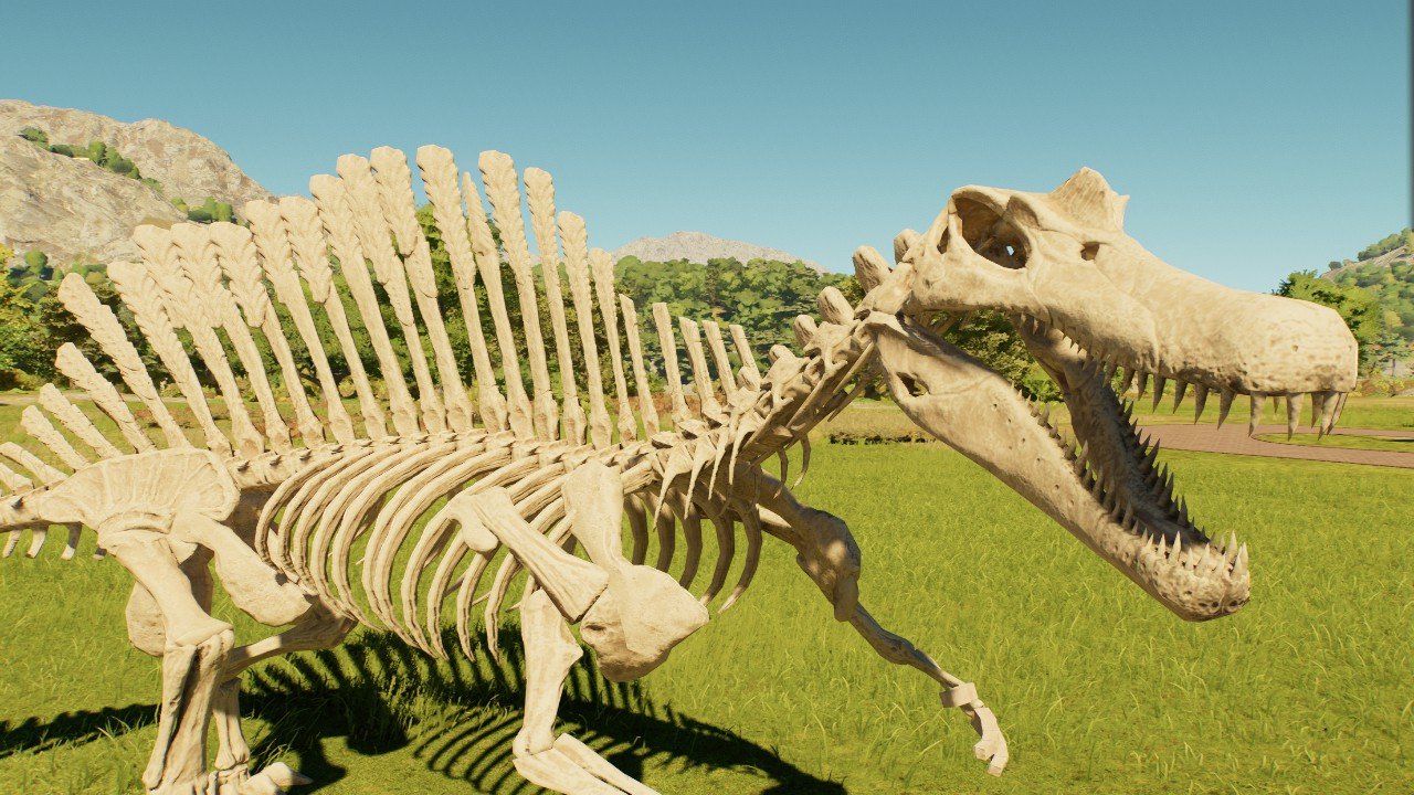 Accurate spinosaurus skeleton