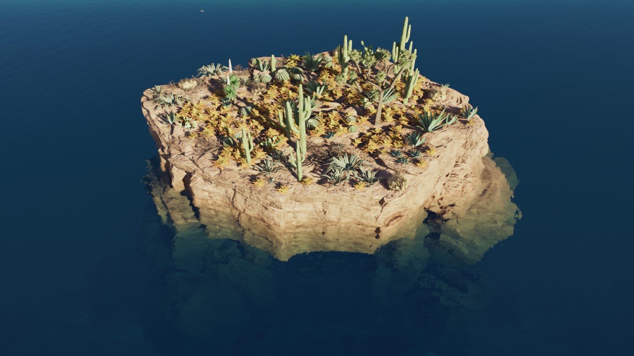 Hidden Marine Dynamic Rock Nest With a ledge of desert cacti