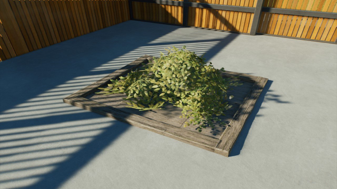 Simple Wooden Food Plate