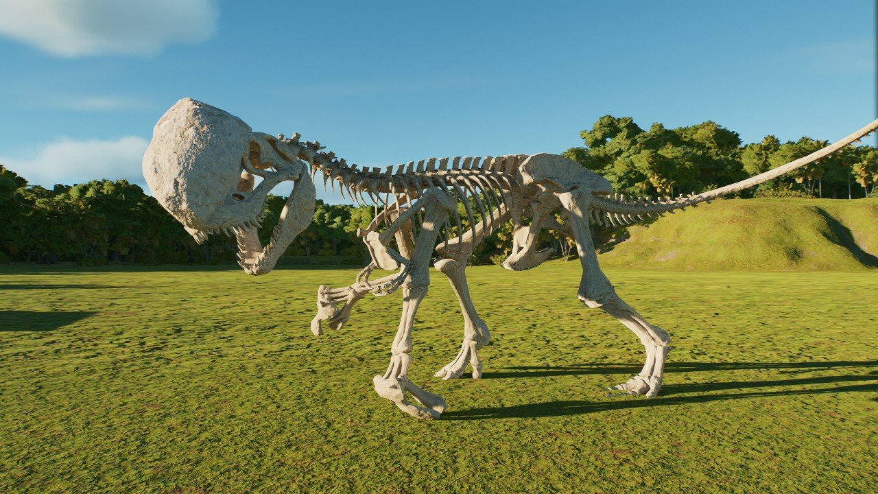 D-rex skeleton
