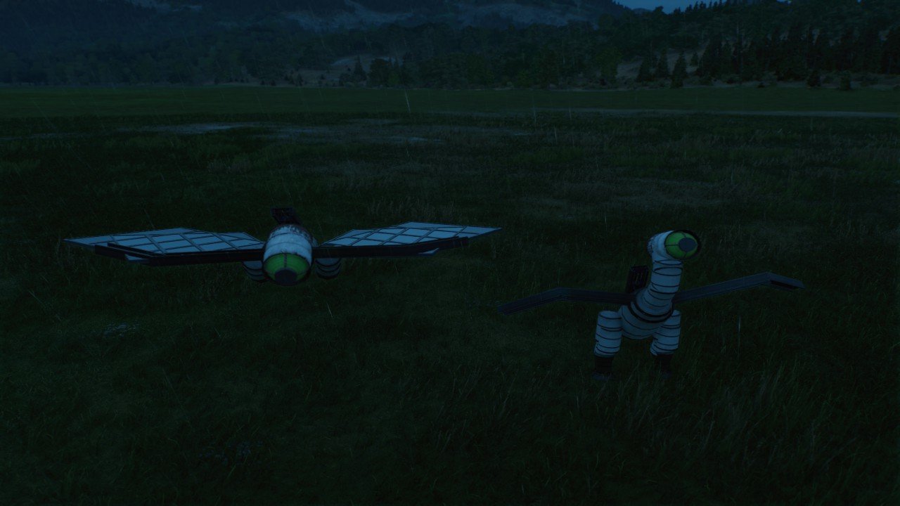 Both Horizon bird