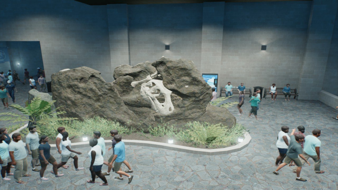 rock and fossil 2