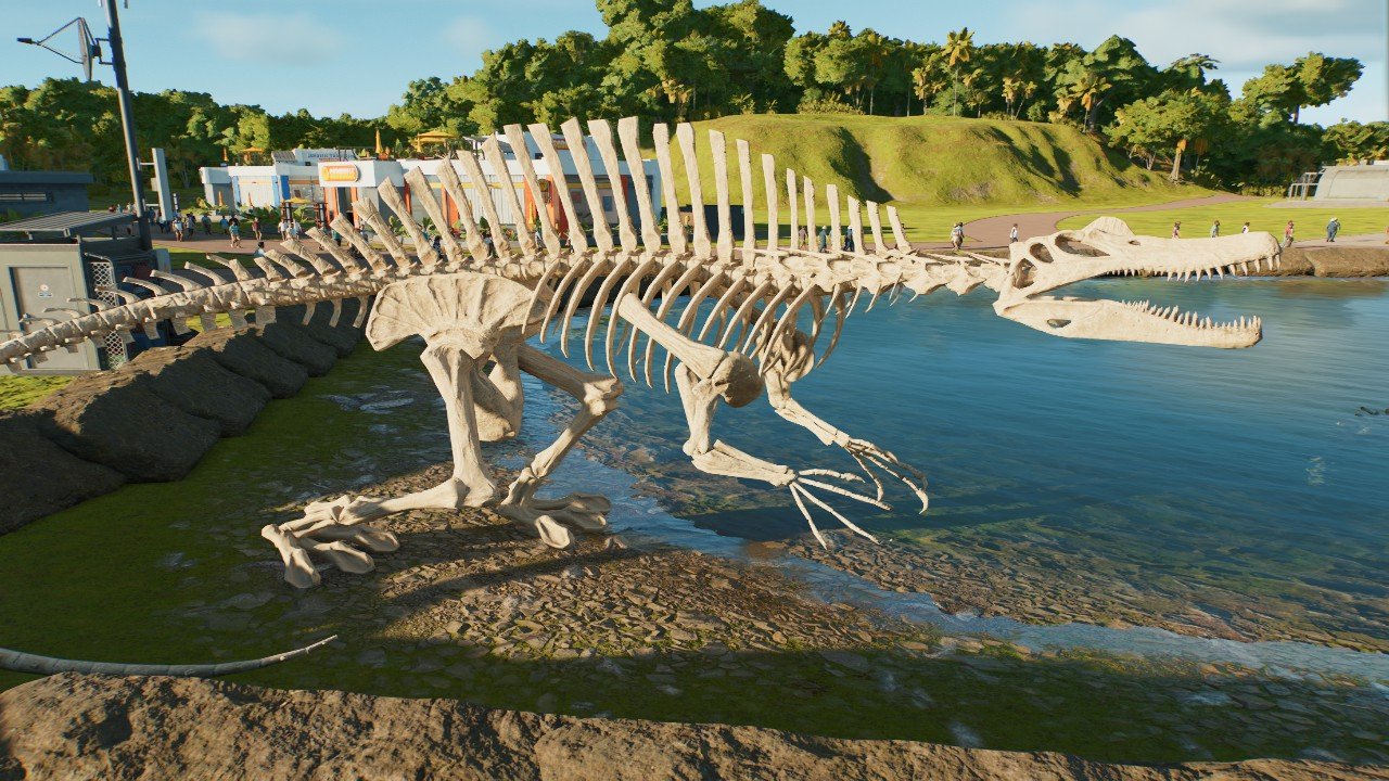 Old accurate spinosaurus skeleton