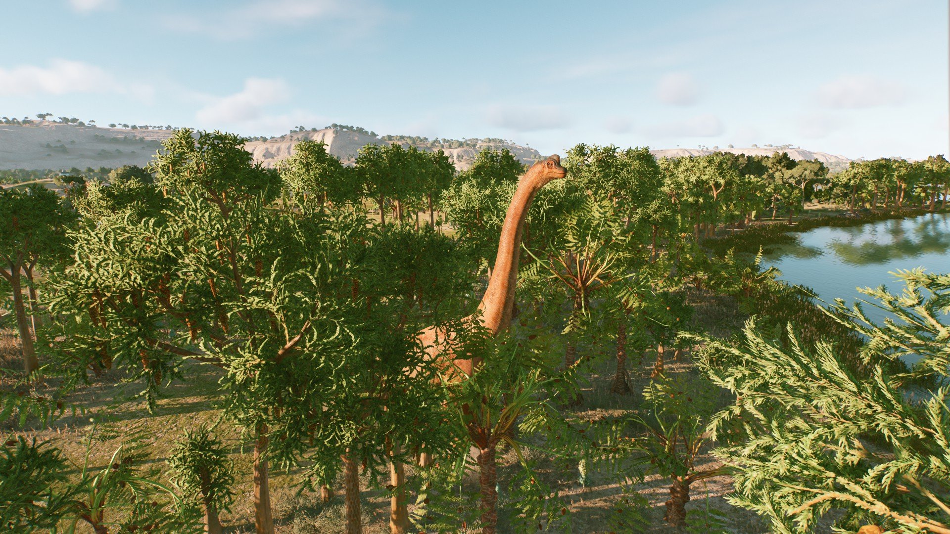 Natural reserve ecosistem cicle