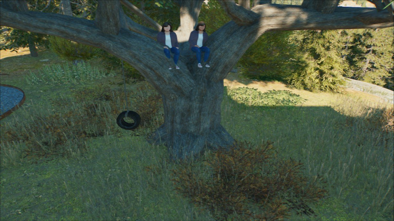 Tire Swing