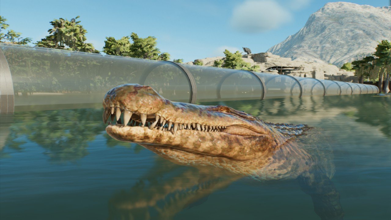 Cruise Tube