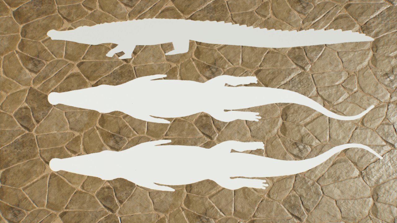 Deinosuchus Decorative Shapes