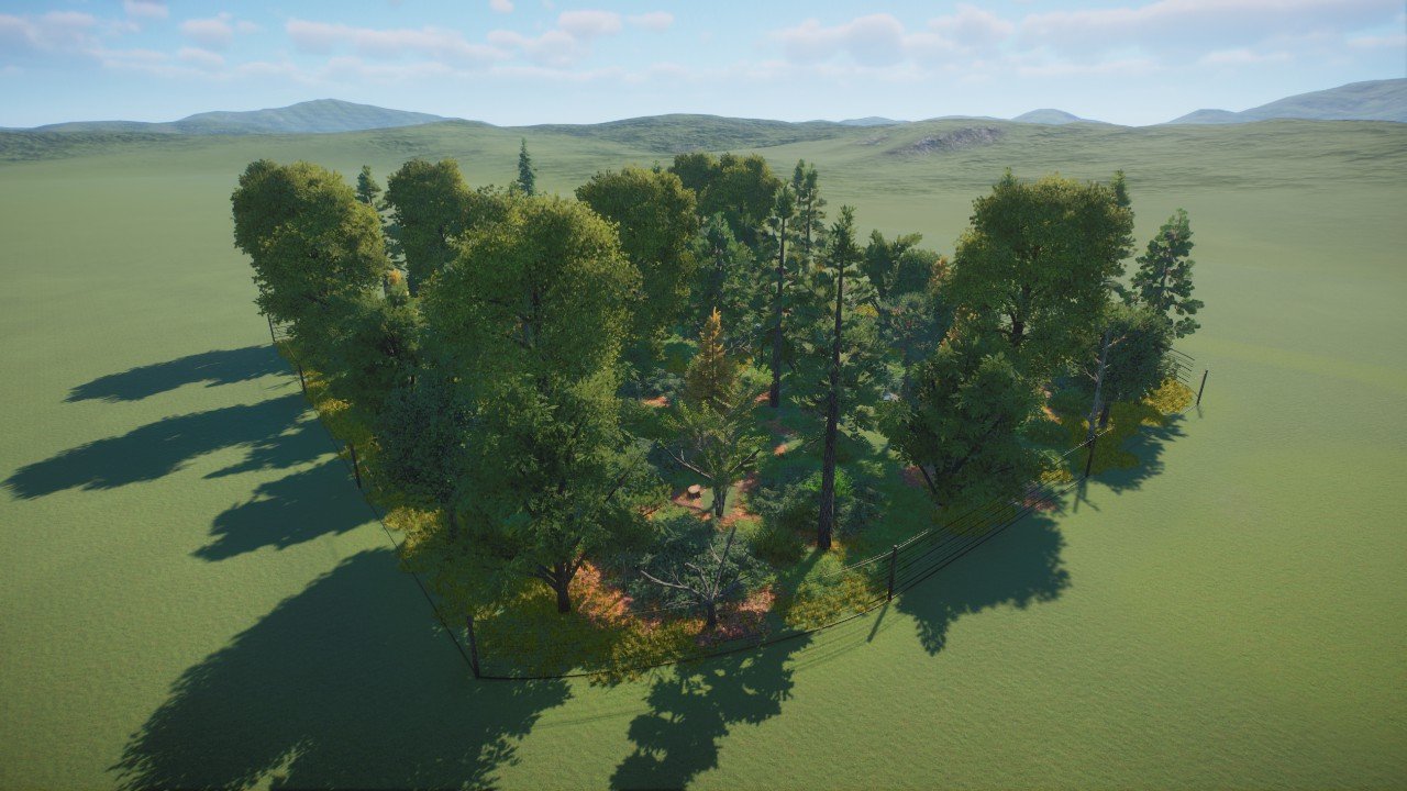 Timber Wolf Habitat
