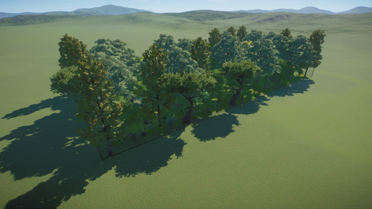 Gorilla Habitat