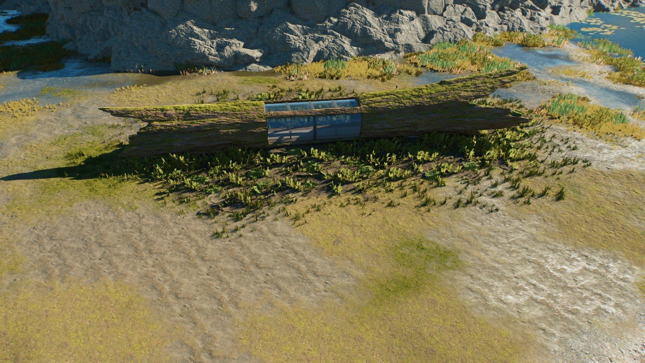 Ground Level Log Viewing Gallery