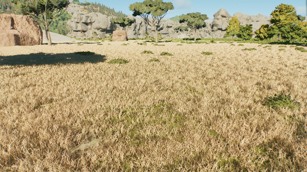 Savanna Grass